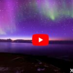 Stampante Xerox® Versant® 280